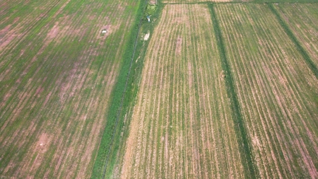 Cattle Pasture Land For Sale Howell County Southern Missouri - image 4