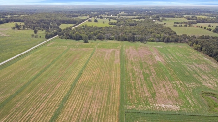 Cattle Pasture Land For Sale Howell County Southern Missouri - image 3
