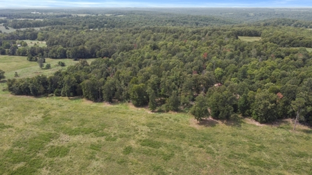 Cattle Pasture Land For Sale Howell County Southern Missouri - image 17