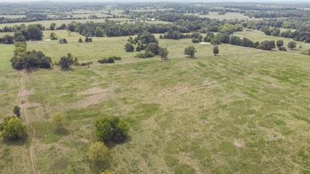 Cattle Pasture Land For Sale Howell County Southern Missouri - image 15