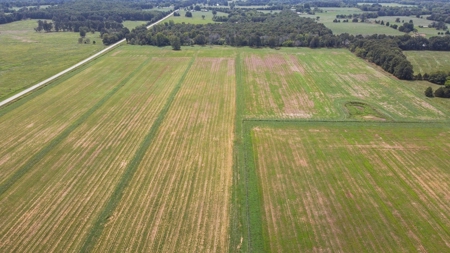 Cattle Pasture Land For Sale Howell County Southern Missouri - image 2