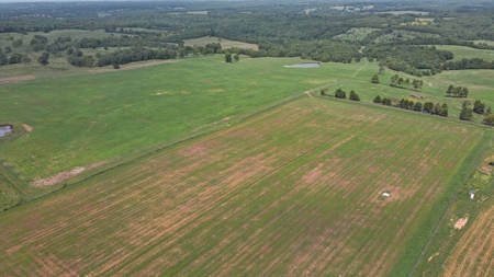 Cattle Pasture Land For Sale Howell County Southern Missouri - image 5