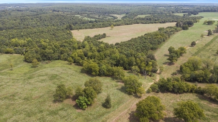 Cattle Pasture Land For Sale Howell County Southern Missouri - image 16