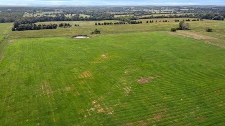 Cattle Pasture Land For Sale Howell County Southern Missouri - image 10