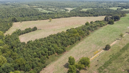 Cattle Pasture Land For Sale Howell County Southern Missouri - image 13