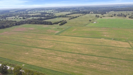Cattle Pasture Land For Sale Howell County Southern Missouri - image 1