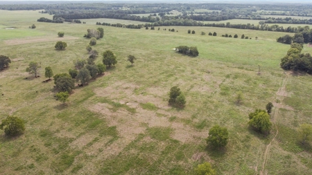 Cattle Pasture Land For Sale Howell County Southern Missouri - image 14