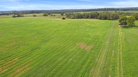 Cattle Pasture Land For Sale Howell County Southern Missouri - image 8