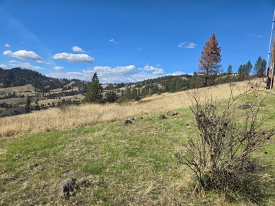 Residential Land for Sale in Orofino, ID - image 4