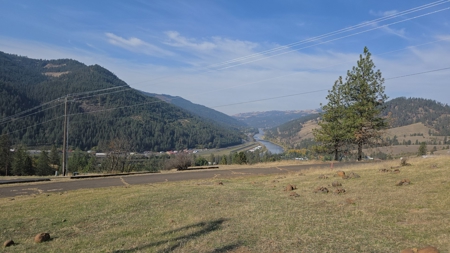 Residential Land for Sale in Orofino, ID - image 1