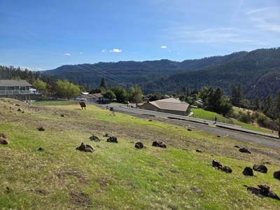 Residential Land for Sale in Orofino, ID - image 3