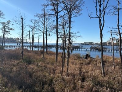Townhome for Sale in Pamlico Plantation - Washington, NC - image 8