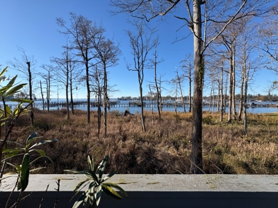 Townhome for Sale in Pamlico Plantation - Washington, NC - image 24