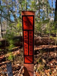 40 Unrestricted Acres For Sale in Unicoi County - image 31
