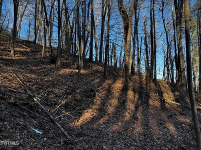 40 Unrestricted Acres For Sale in Unicoi County - image 28