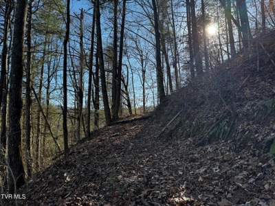 40 Unrestricted Acres For Sale in Unicoi County - image 14