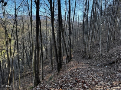 40 Unrestricted Acres For Sale in Unicoi County - image 27