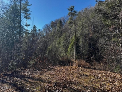 40 Unrestricted Acres For Sale in Unicoi County - image 17