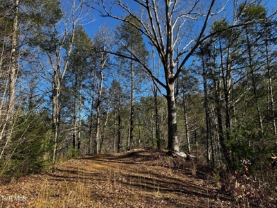 40 Unrestricted Acres For Sale in Unicoi County - image 34