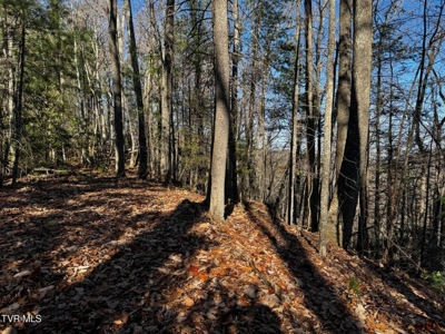 40 Unrestricted Acres For Sale in Unicoi County - image 30