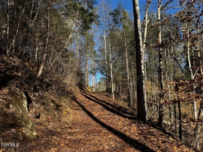 40 Unrestricted Acres For Sale in Unicoi County - image 33