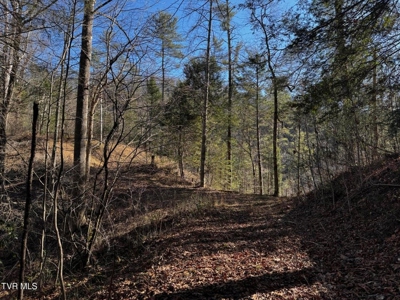 40 Unrestricted Acres For Sale in Unicoi County - image 13