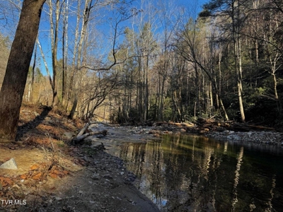 40 Unrestricted Acres For Sale in Unicoi County - image 18