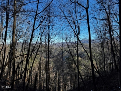 40 Unrestricted Acres For Sale in Unicoi County - image 29
