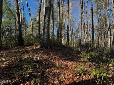 40 Unrestricted Acres For Sale in Unicoi County - image 23