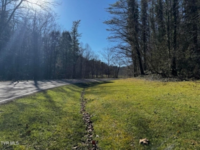 40 Unrestricted Acres For Sale in Unicoi County - image 4