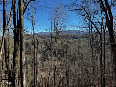 40 Unrestricted Acres For Sale in Unicoi County - image 16