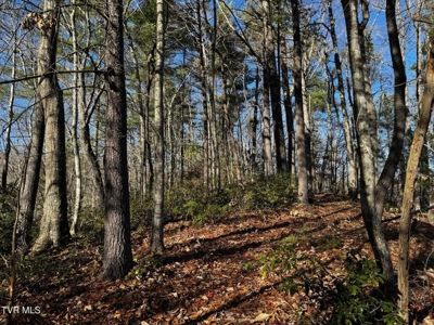 40 Unrestricted Acres For Sale in Unicoi County - image 25