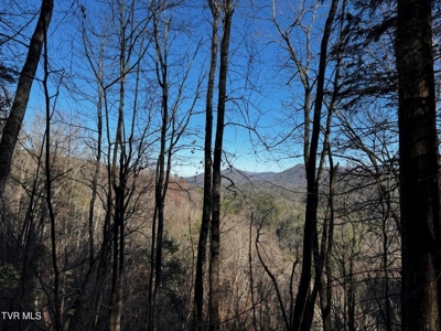 40 Unrestricted Acres For Sale in Unicoi County - image 21