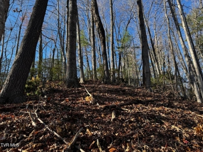 40 Unrestricted Acres For Sale in Unicoi County - image 22