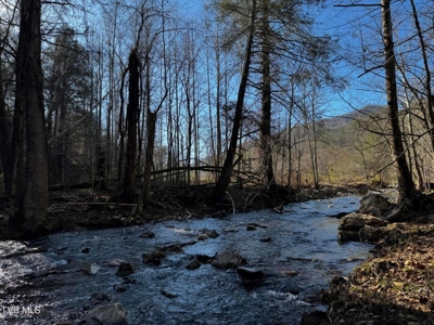 40 Unrestricted Acres For Sale in Unicoi County - image 19