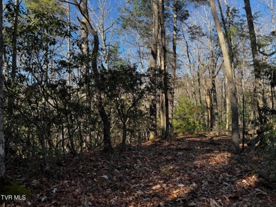 40 Unrestricted Acres For Sale in Unicoi County - image 24
