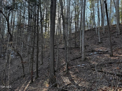 40 Unrestricted Acres For Sale in Unicoi County - image 26
