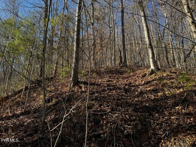 40 Unrestricted Acres For Sale in Unicoi County - image 15