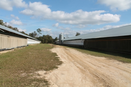Thriving Poultry Breeder Farm For Sale in Rochelle, GA - image 23