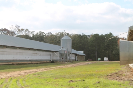 Thriving Poultry Breeder Farm For Sale in Rochelle, GA - image 41