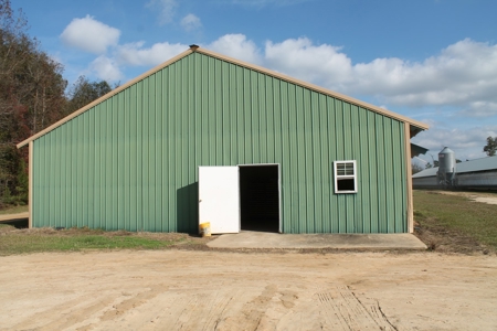 Thriving Poultry Breeder Farm For Sale in Rochelle, GA - image 24