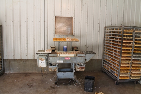 Thriving Poultry Breeder Farm For Sale in Rochelle, GA - image 25