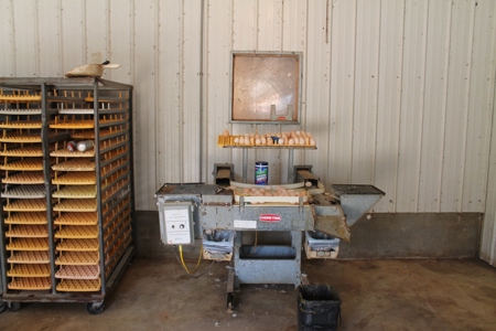 Thriving Poultry Breeder Farm For Sale in Rochelle, GA - image 19