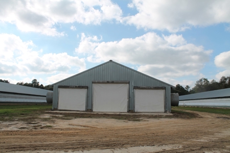 Thriving Poultry Breeder Farm For Sale in Rochelle, GA - image 42