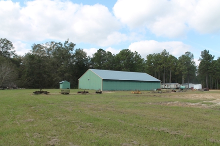 Thriving Poultry Breeder Farm For Sale in Rochelle, GA - image 7