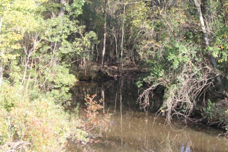 Thriving Poultry Breeder Farm For Sale in Rochelle, GA - image 1