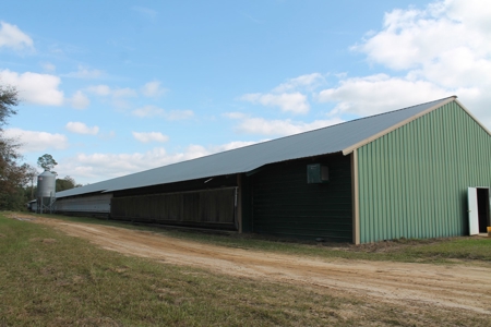 Thriving Poultry Breeder Farm For Sale in Rochelle, GA - image 31