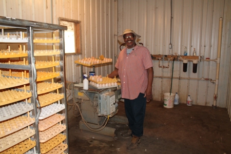 Thriving Poultry Breeder Farm For Sale in Rochelle, GA - image 10