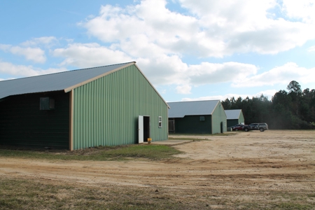 Thriving Poultry Breeder Farm For Sale in Rochelle, GA - image 30