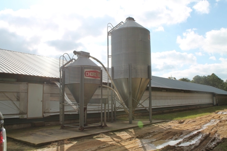 Thriving Poultry Breeder Farm For Sale in Rochelle, GA - image 39